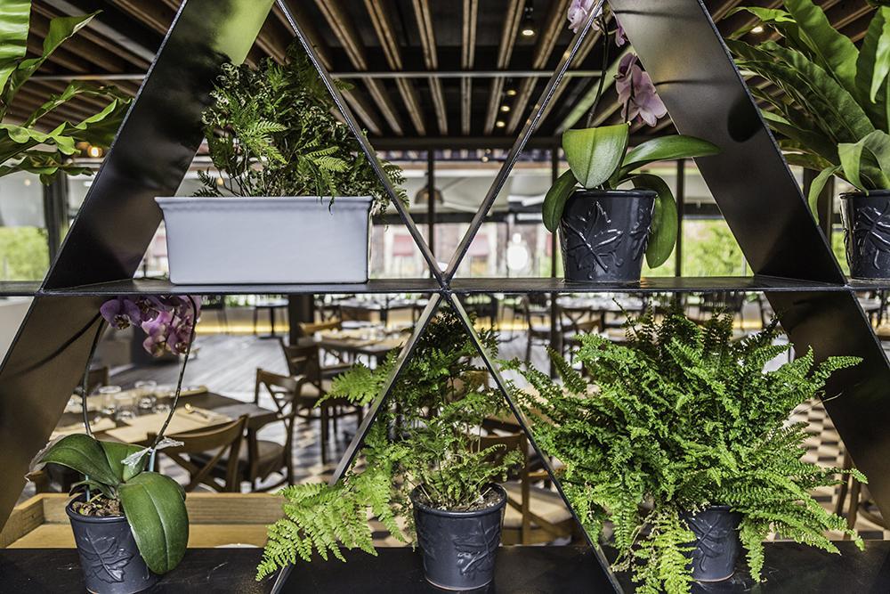 מקסיקו סיטי Domingo Santo Hotel Boutique (Adults Only) מראה חיצוני תמונה